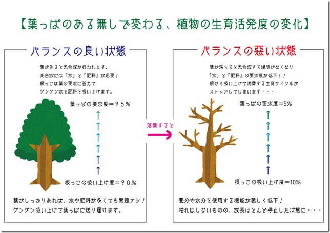 葉のあるなしイメージ