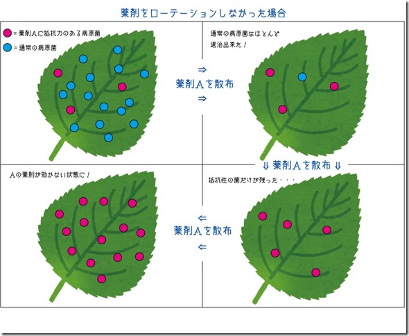 抵抗菌イメージ